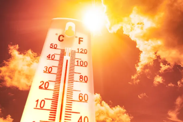 Algeco Klimaaktion